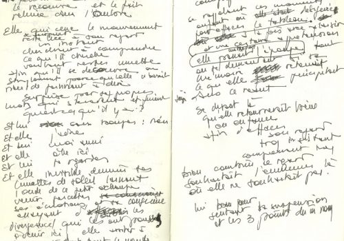 Euphorie, manuscrit